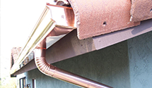 Rain Gutter Installation, Repair, Cleaning in Danforth, IL